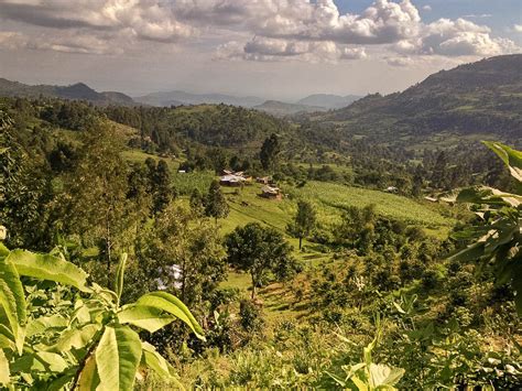 kakimega|Kakamega – Travel guide at Wikivoyage.